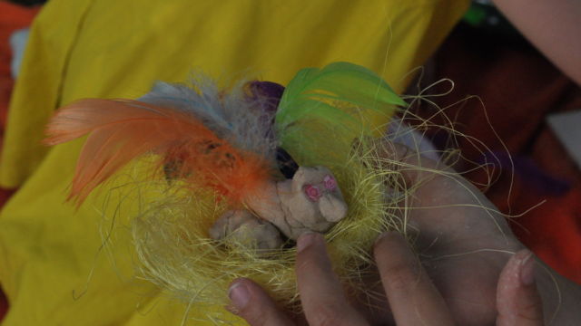 Fot. Małgorzata Brus