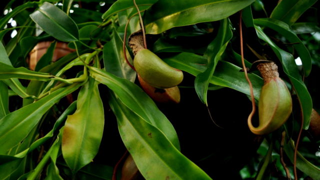 Fot. Małgorzata Brus