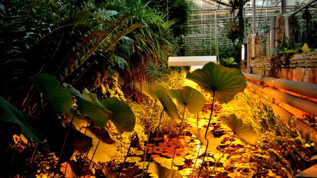 Fot. Małgorzata Brus