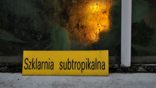 Fot. Małgorzata Brus