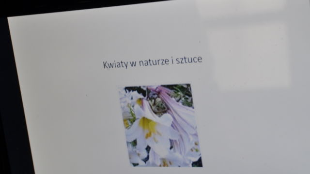 Fot. Małgorzata Brus