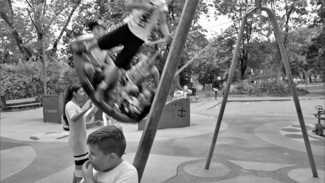 Fot. Andrzej Grzymała - Kazłowski